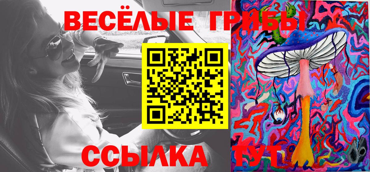 где можно купить   Псилоцибиновые грибы прущие грибы  Татарск  Вход с VPN  Галлюциногенные грибы ЛСД 
